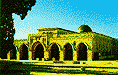 al aqsa mosque in palastine