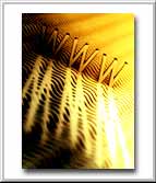 World Wide-Web Edition Preface